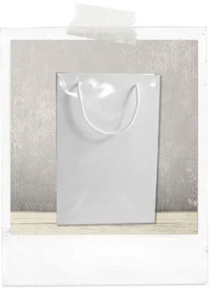Big Gift Bag