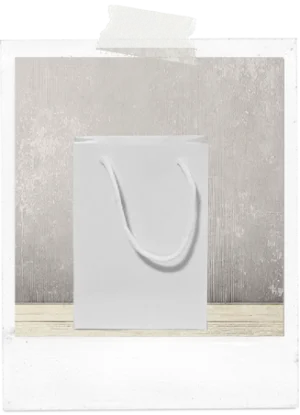 Small Gift Bag